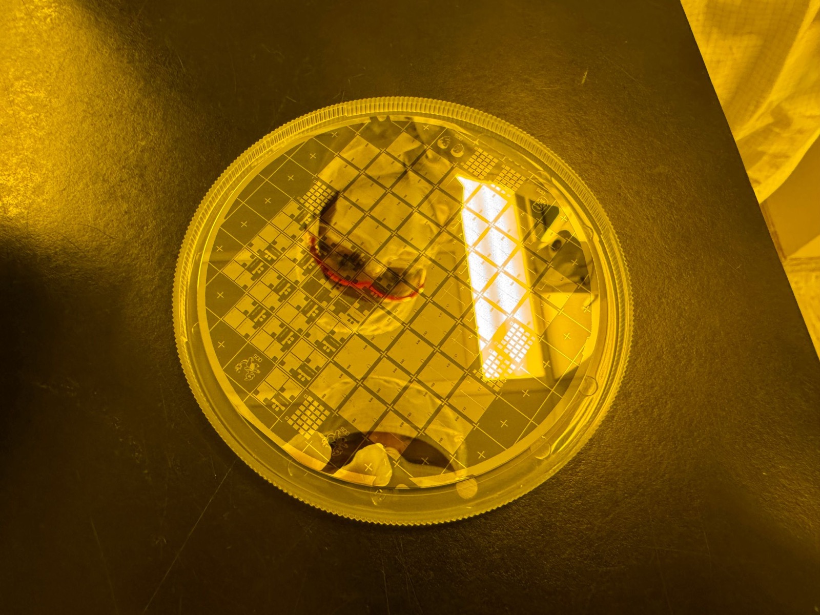 A silicon wafer in a carrier under yellow cleanroom light, its surface covered in a grid of patterned dies.
